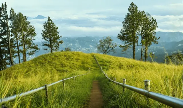 Green highland walking trail near Hanthana